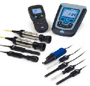 sensION+ϵМy(c)x늘O